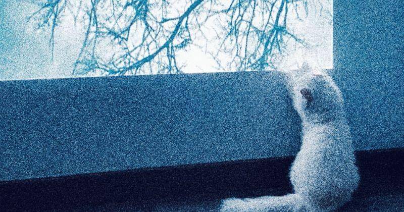 Youtube.com/umayshahab8696